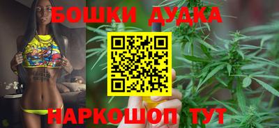 МДПВ Новодвинск