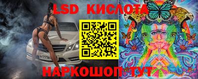 дмт Новокубанск