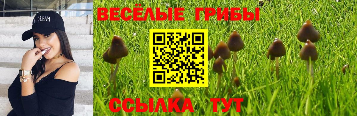 Дальнегорск  Псилоцибиновые грибы мухоморы  Вход с VPN 