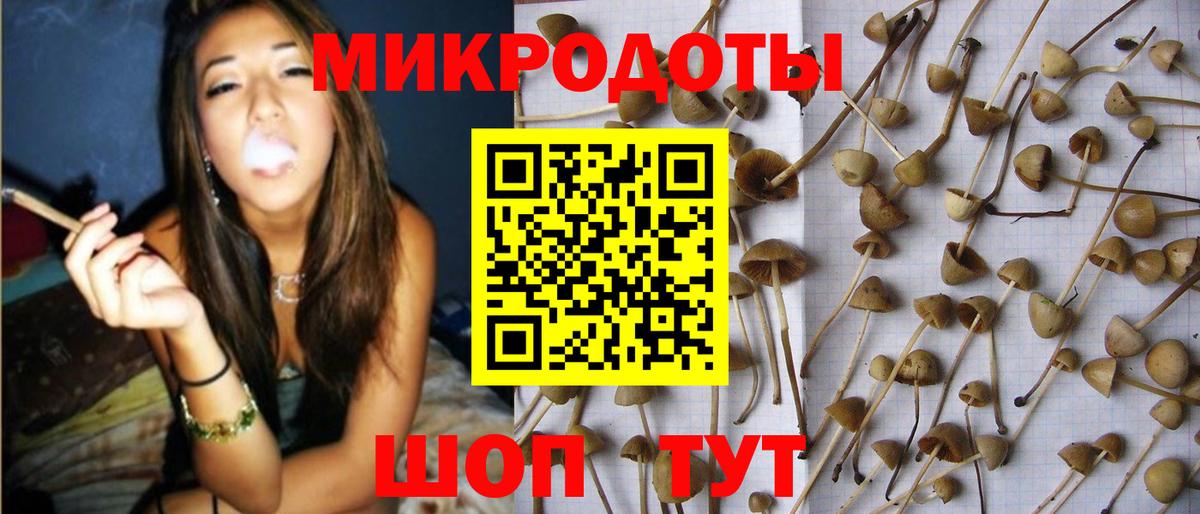 Галлюциногенные грибы мухоморы Дальнегорск